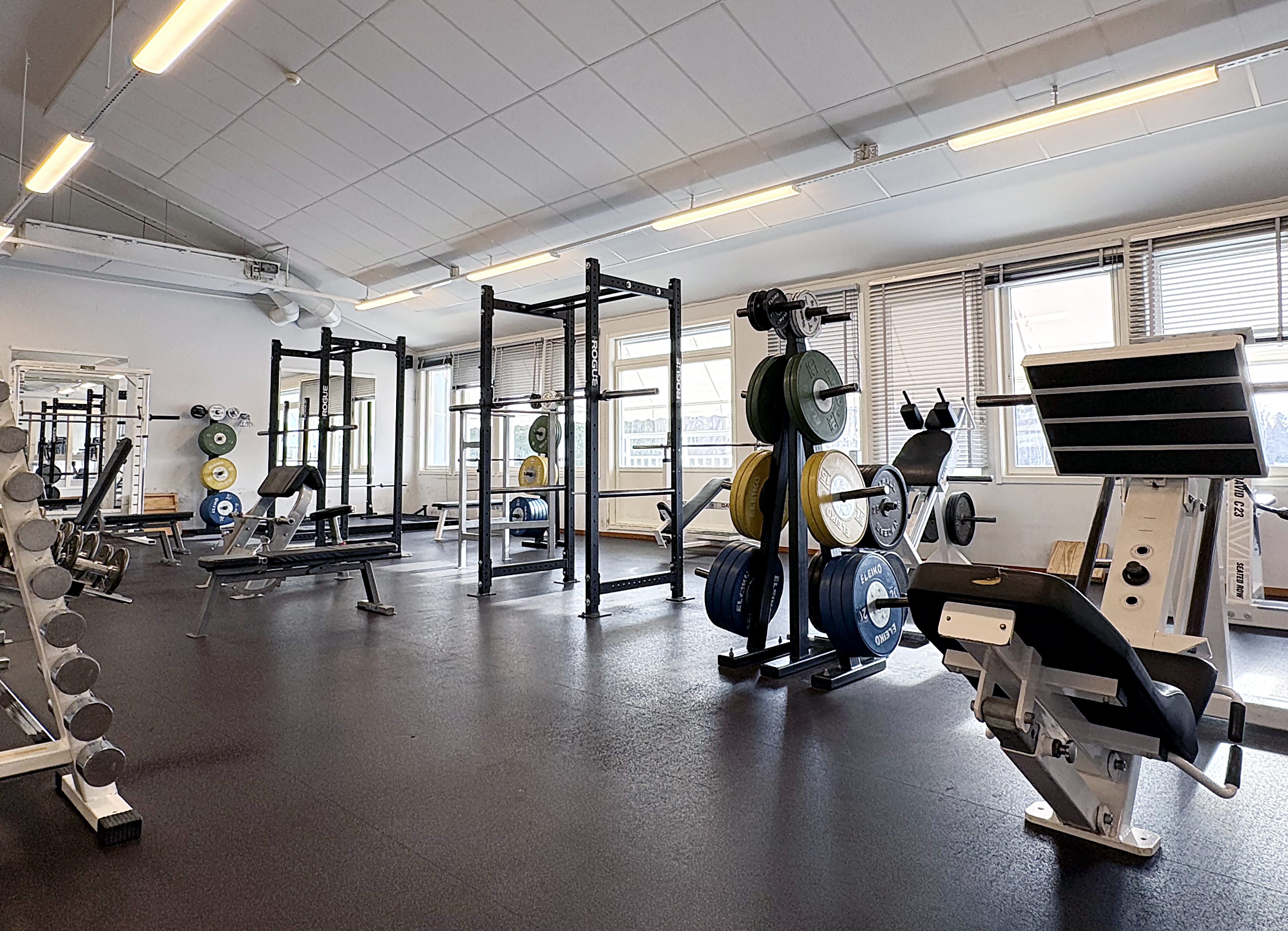 Ljust gym med fria vikter och styrkemaskiner. Skivstänger och viktskivor står i ställ, stora fönster släpper in dagsljus över träningsytan.